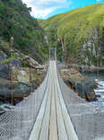 Bridge along the Garden Route in Tsitsikamma National Park, South Africa 