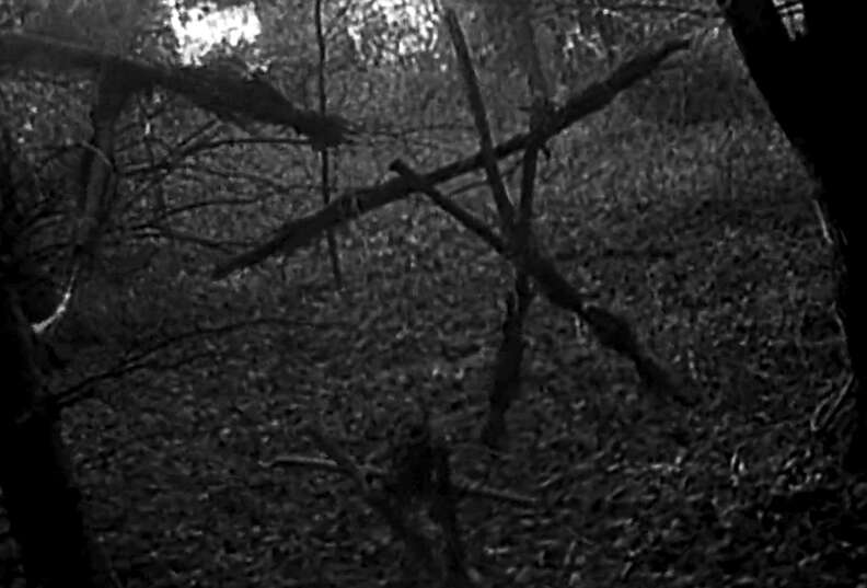 scale;webp=auto;jpeg_quality=60.jpg