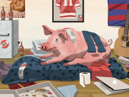 illustration of a pig lounging in a messy bedroom