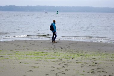 walking in discovery park