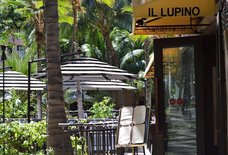 Il Lupino Trattoria & Wine Bar