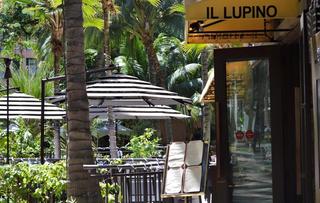 Il Lupino Trattoria & Wine Bar