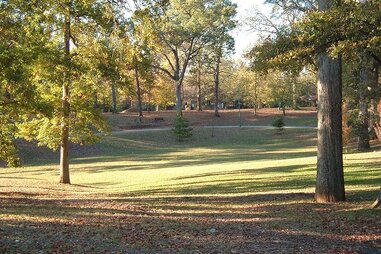 Sunlit Grant Park as seen during the daytime