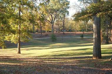 Sunlit Grant Park as seen during the daytime