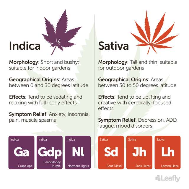 Helpful Charts And Graphs(hd) | THCFarmer - Cannabis Cultivation Network