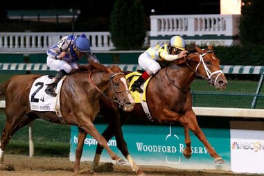 kentucky derby horses
