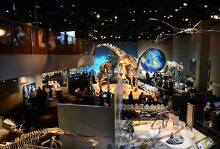 Everything You Absolutely Must Do in Dallas This Spring