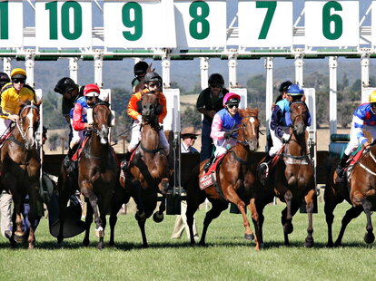 horses racing at the kentucky derby