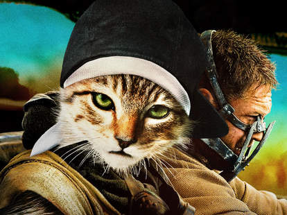 Keanu Best Picture Oscar Posters Key And Peele Movie Kitten As The Revenant And Mad Max Thrillist
