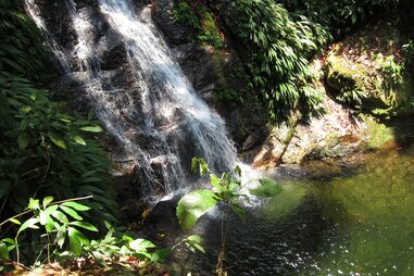 A cold waterfall flowing into a Honduras swimming hole