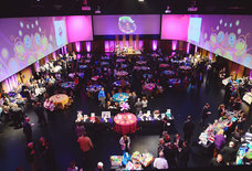 Everything You Absolutely Need to Do in Denver This Spring