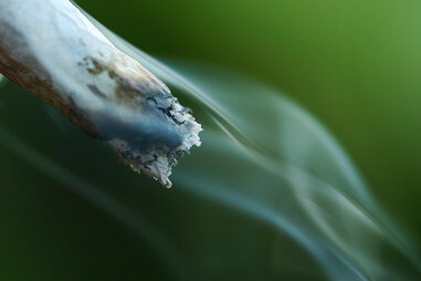 joint with smoke, weed