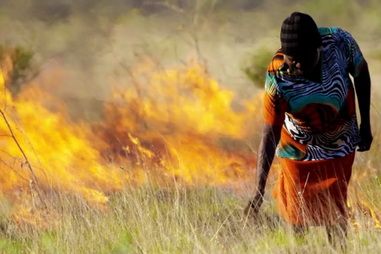 Michael Pollan Cooked