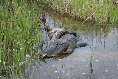 Everglades National Park