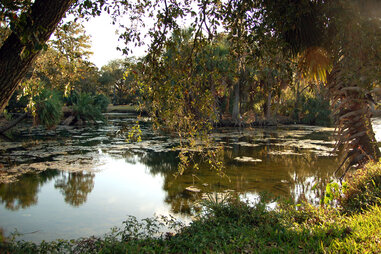 Audubon Park, New Orleans