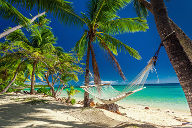 Fiji hammock, palm trees, and ocean