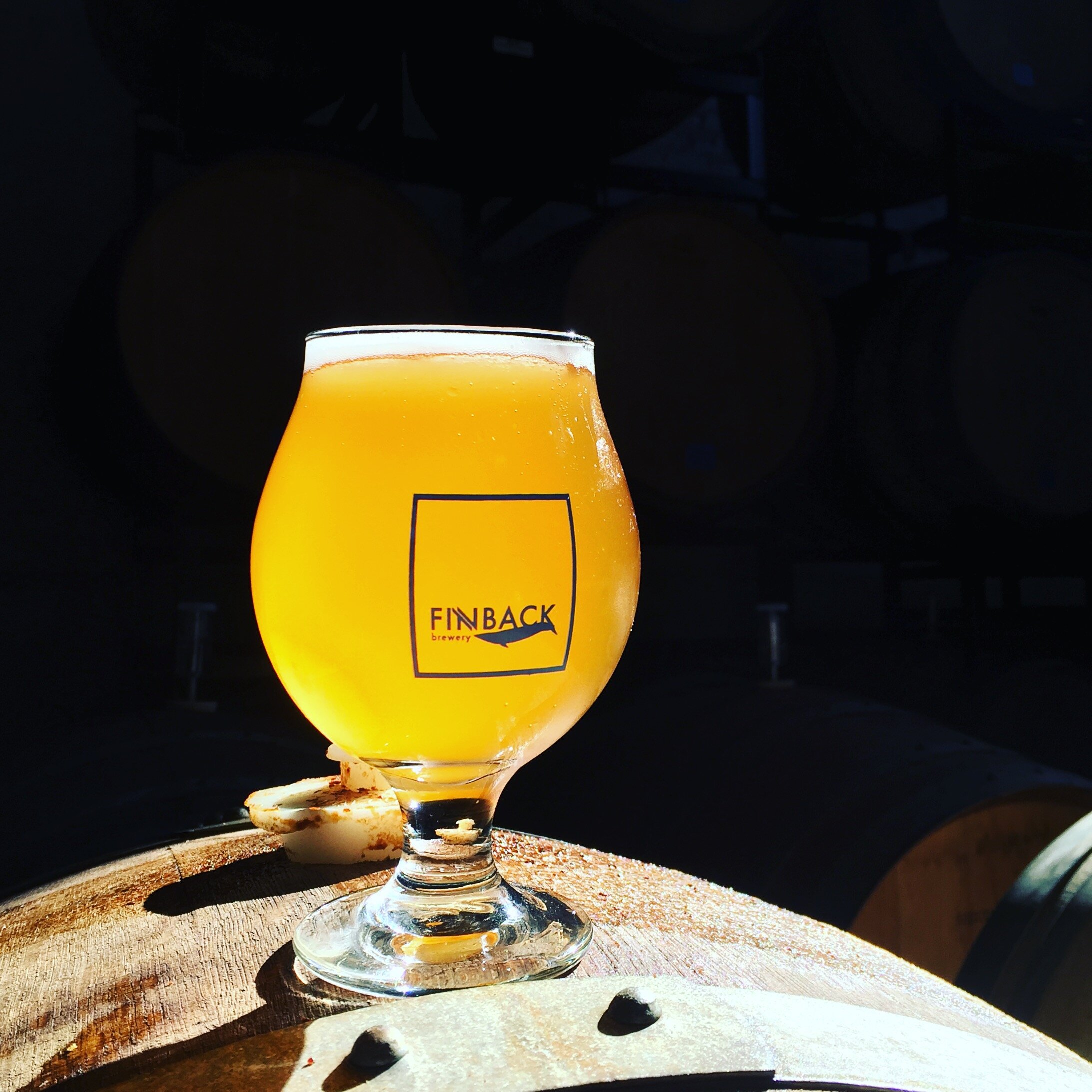 Finback Brewery, I Feel the Universe Gose