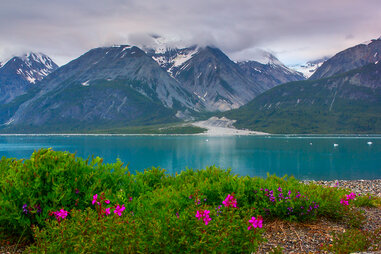 Glacier Bay National Park and Preserve