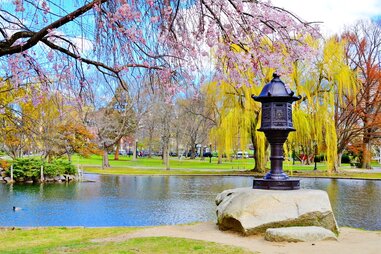 Boston Common
