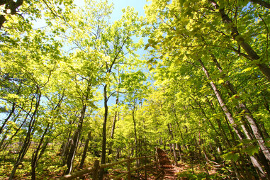 Porcupine Mountain State Wilderness Park