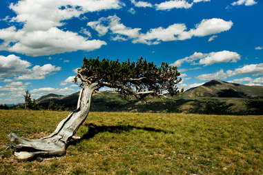 alma, colorado