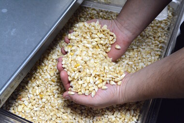 grains, Espita Mezcaleria