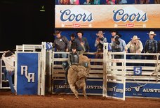 Everything You Absolutely Must Do in Austin This Spring