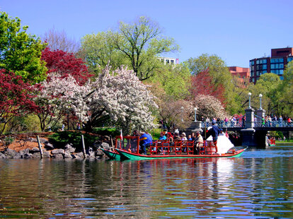Boston Public Garden