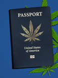 weed tourism passport