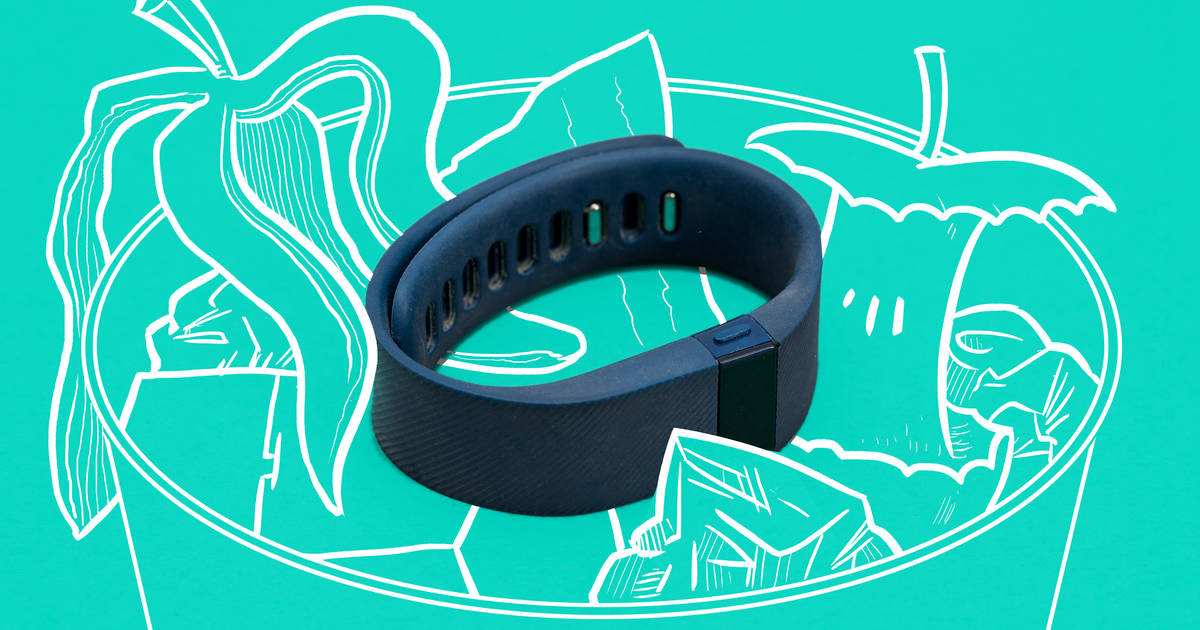 Fitbit fb404 discount