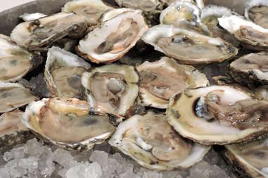 oysters