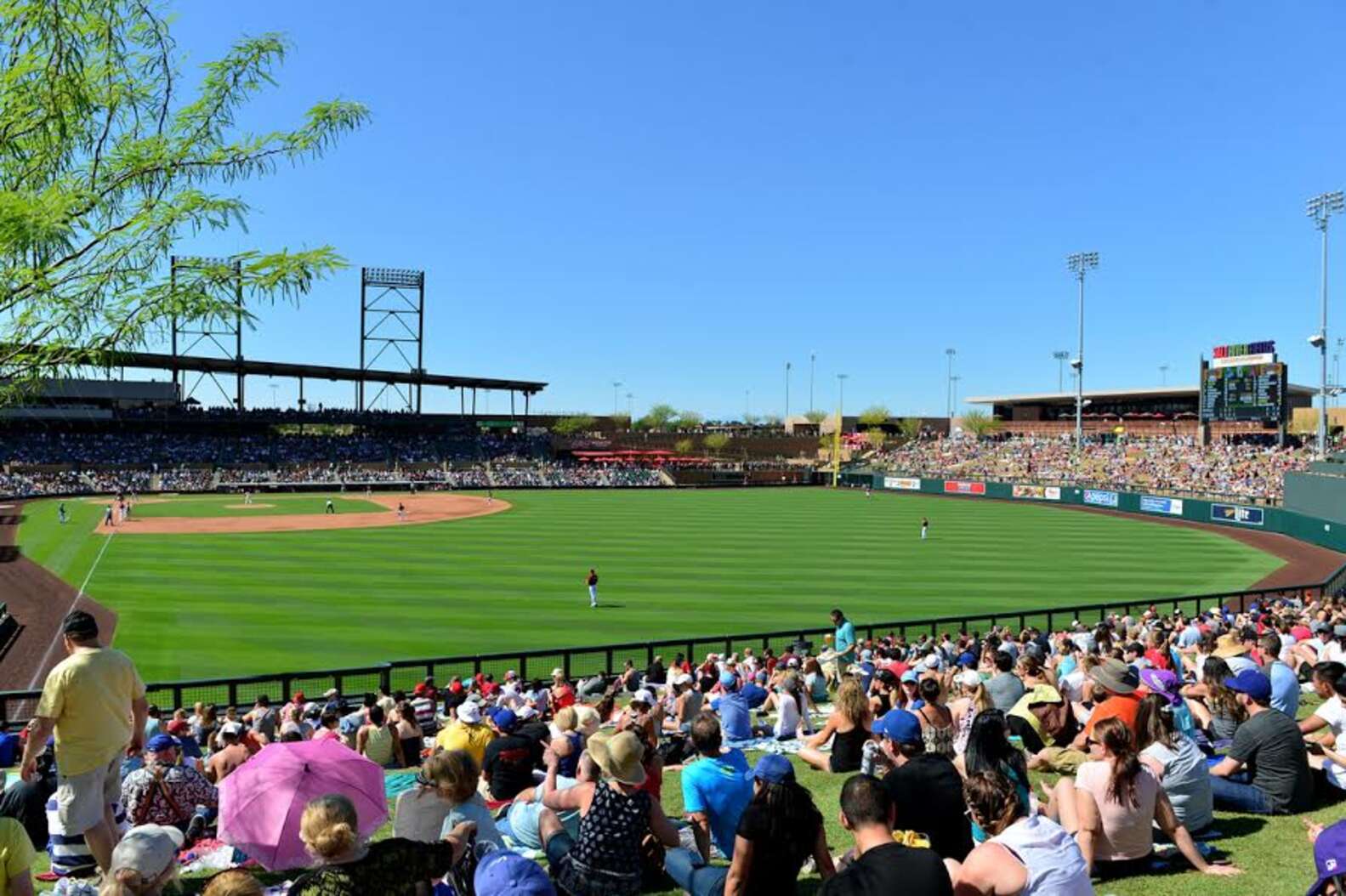 Best Arizona Spring Training Ballparks Baseball - Thrillist