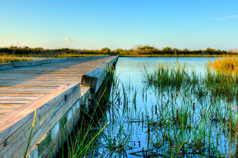 Galveston Island State Park