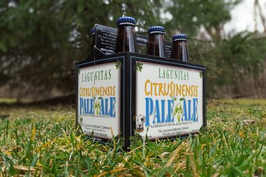 lagunitas pale ale