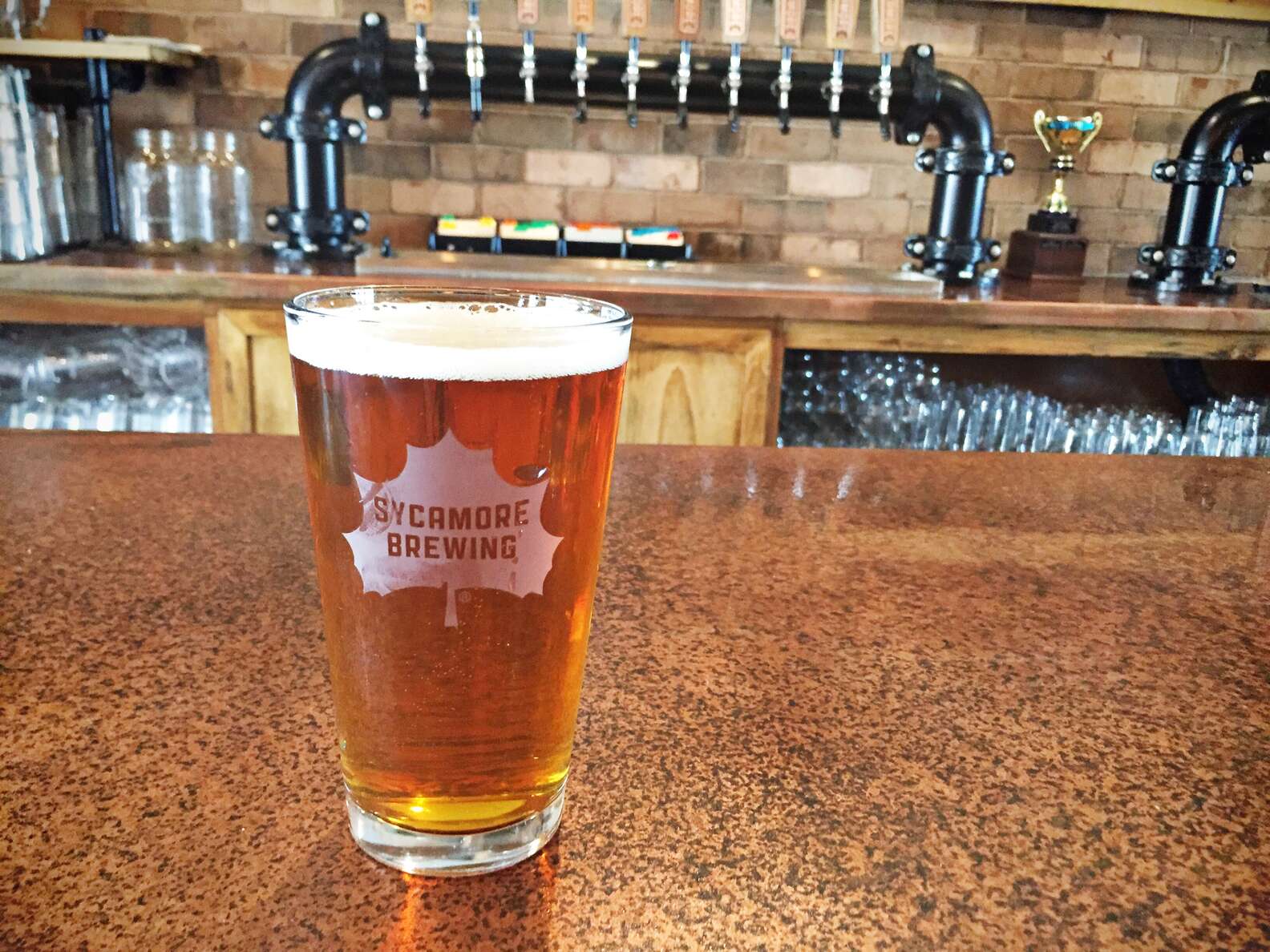 The Best Spring Beers to Drink in Charlotte - Thrillist