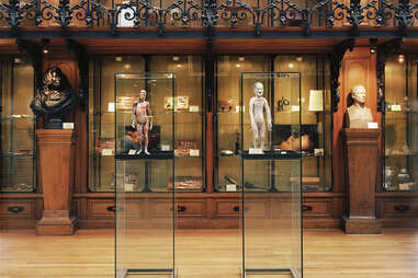 Musée d'histoire de la médecine Museum of Medical History