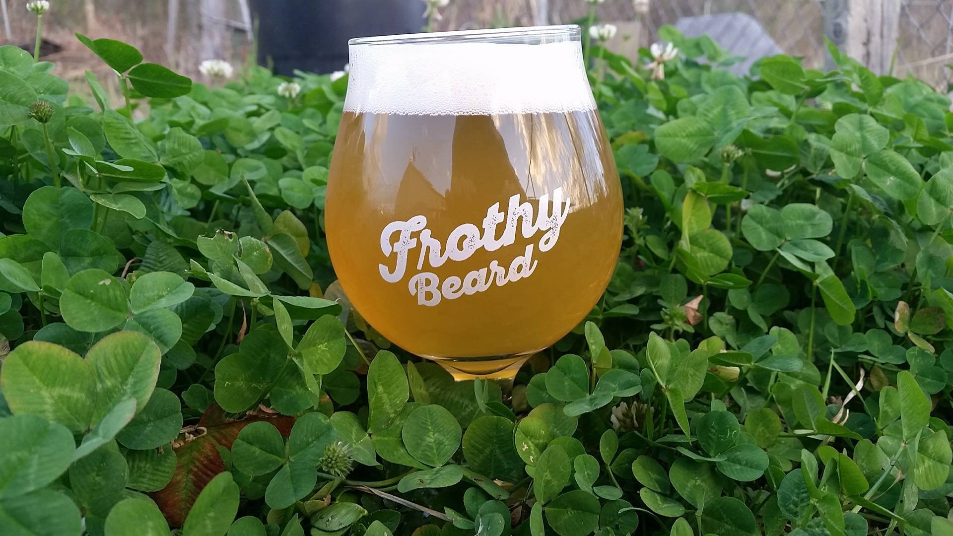 frothy beard brewing charleston cucumber beer