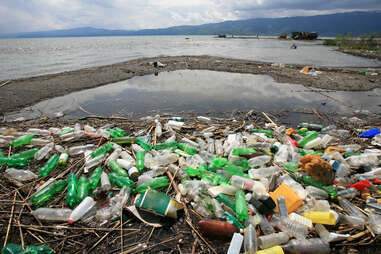 discarded plastic bottles pollution