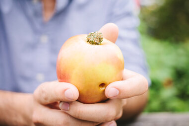homemade one time use weed device to smoke from