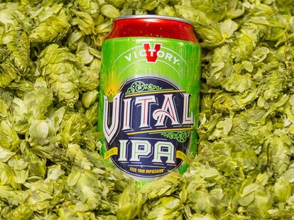victory vital ipa ale beer philadelphia