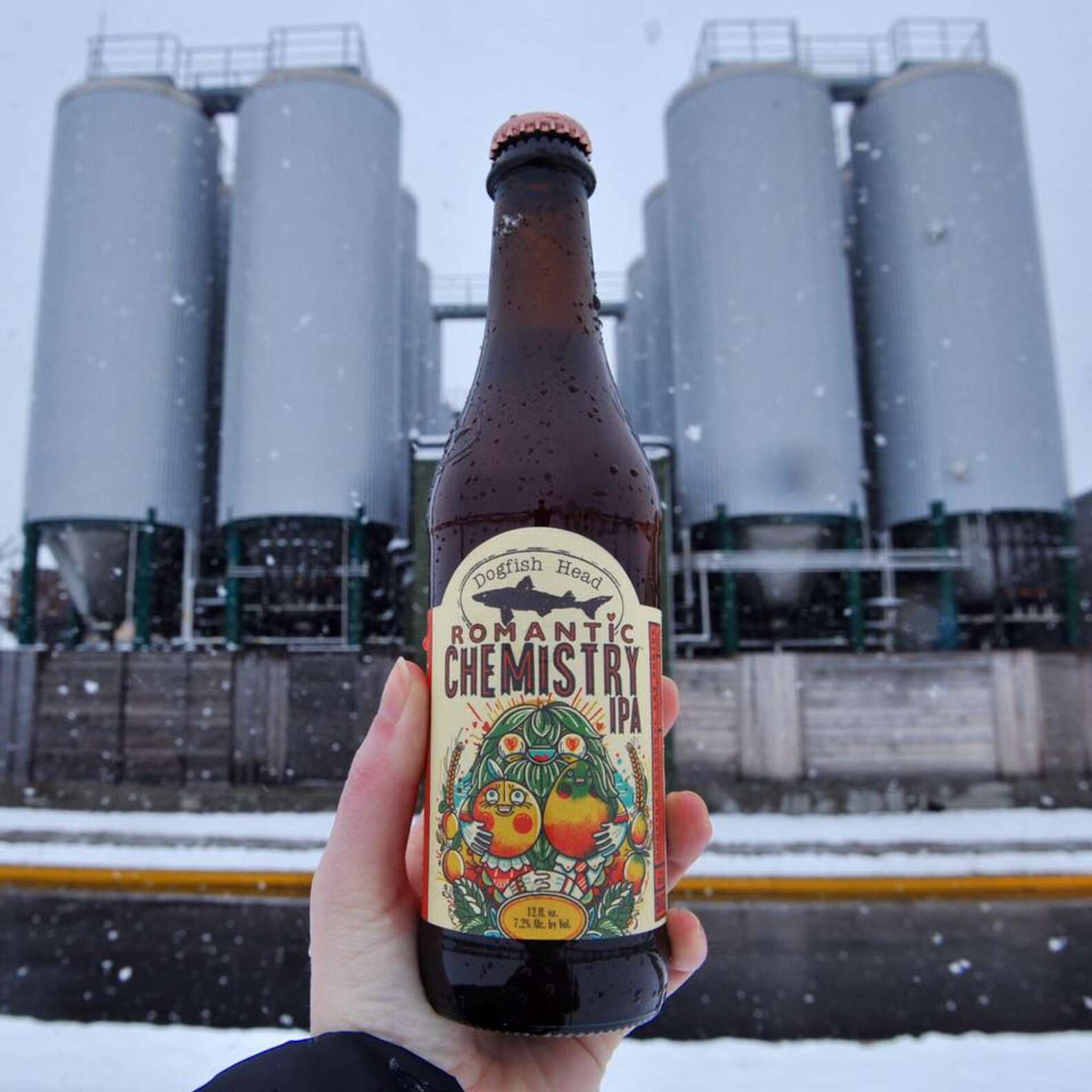 dogfish-head-name-how-your-favorite-brewery-got-its-name-thrillist