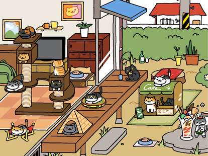 Neko Atsume iPhone game screenshot 