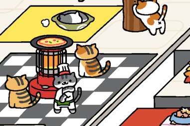 Neko Atsume iPhone game screenshot