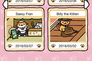 Neko Atsume iPhone game screenshot 