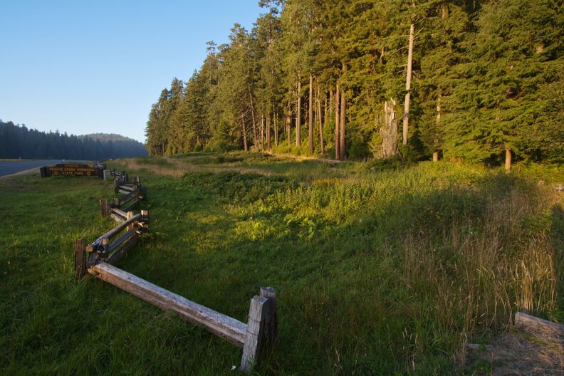 Prairie Creek Redwoods State Park