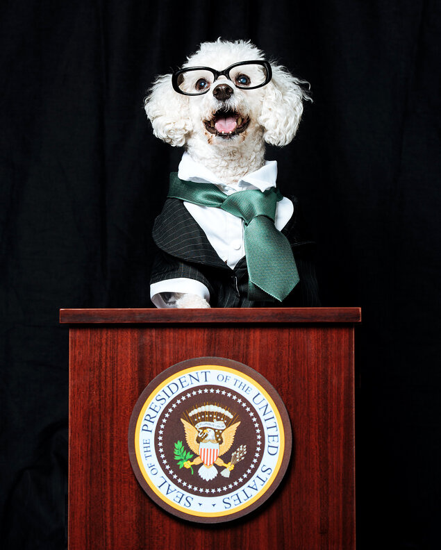Dogs Dressed as Presidential Candidates - Thrillist