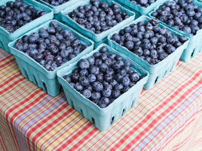 blueberries on a table close up