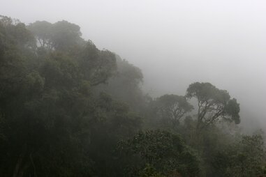 cloud forest ecuador