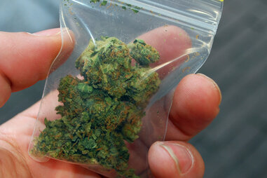Marijuana in small baggy
