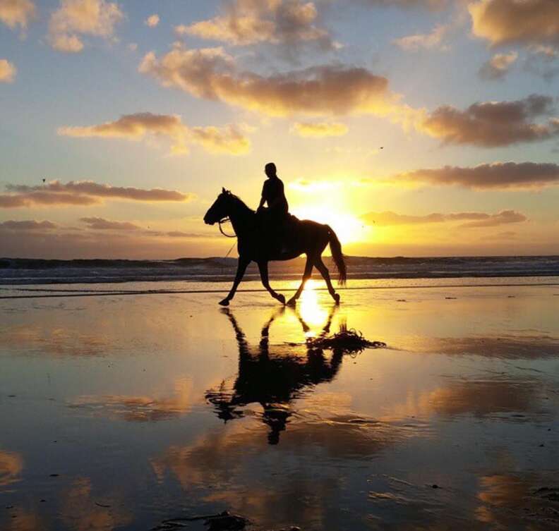 san diego beach rides, beach horseback riding